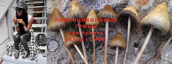 гидра Домодедово
