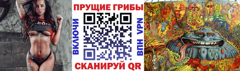 мега сайт  Алатырь  Псилоцибиновые грибы Psilocybe  даркнет сайт 