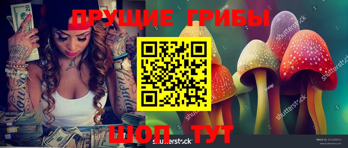 Алатырь  что такое наркотик  Псилоцибиновые грибы GOLDEN TEACHER  Вход с VPN  Галлюциногенные грибы мицелий 