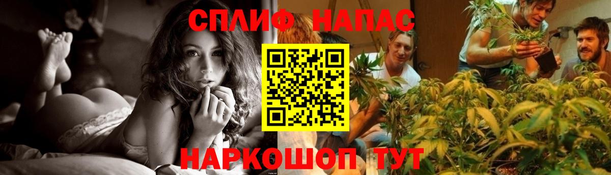 Шишки марихуана конопля  Марихуана OG Kush  МАРИХУАНА Amnesia  Алатырь  Вход с VPN 