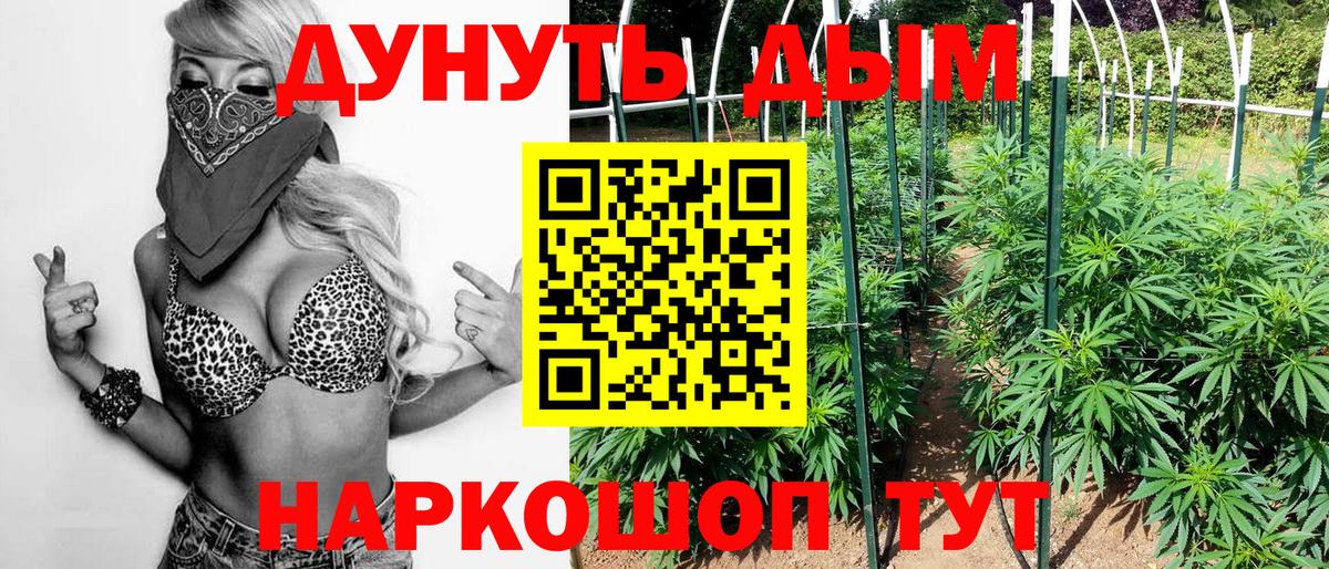 Бошки Шишки семена  Каннабис VHQ  Каннабис марихуана  Канабис конопля  Вход с VPN  Алатырь 